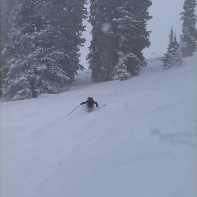 Tom's Hill, Wasatch Backcountry